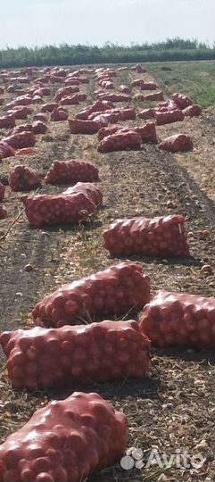 Продукты питания оптом