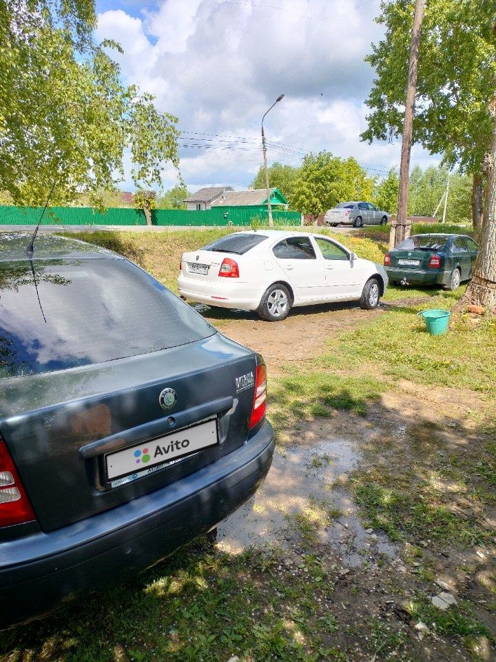Skoda Octavia: фото владельца