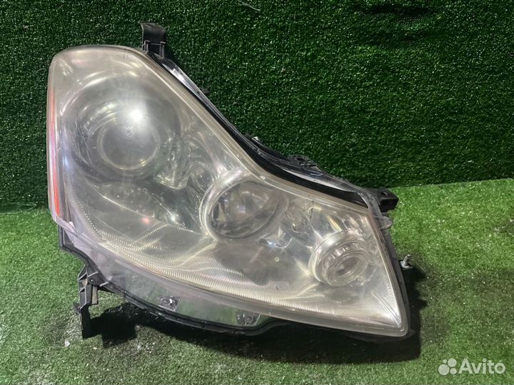 Фара передняя правая Nissan Fuga Y50