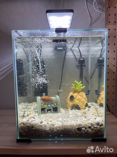 Аквариум с рыбками