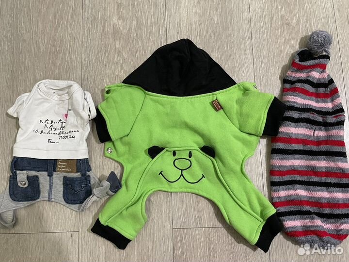 Одежда и обувь для собак