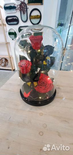 Розы в колбе в ассортименьте