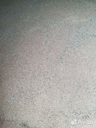 Ячмень, пшеница