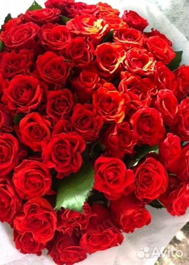 Розы 31,51,101 Роза, Цветы с доставкой