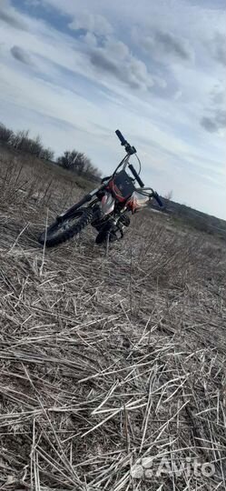 Irbis ttr 110