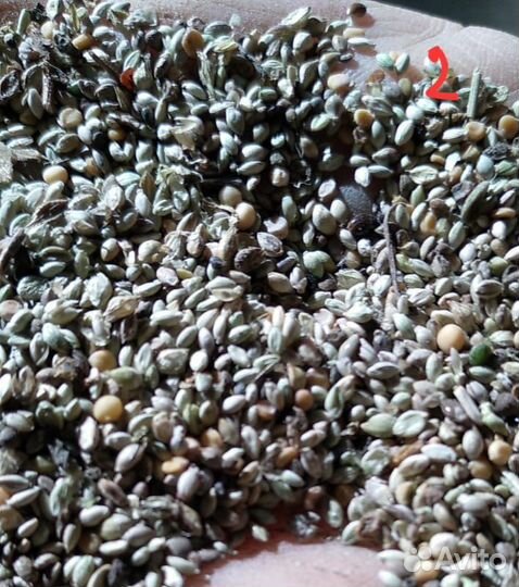 Зерновая смесь