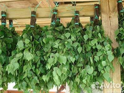 Березовые веники веник для бани