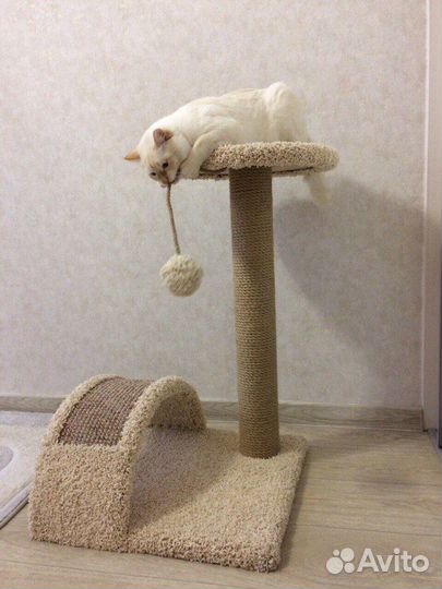 Домики для кошек, игровые комплексы, когтеточки