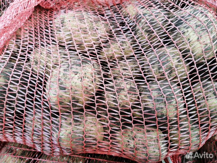 Продам картофель едовой