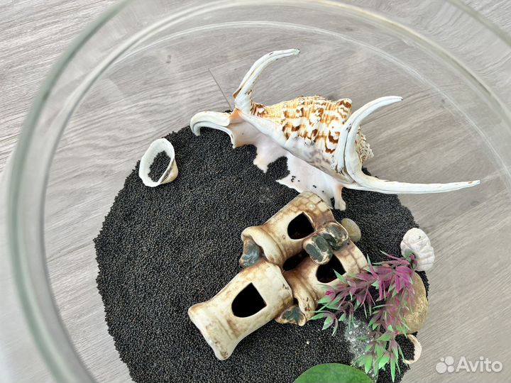 Аквариум круглый 10 л