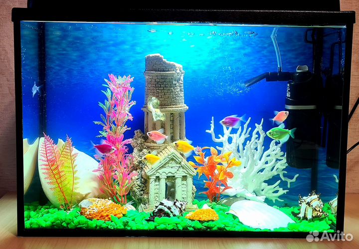 Аквариум с рыбками