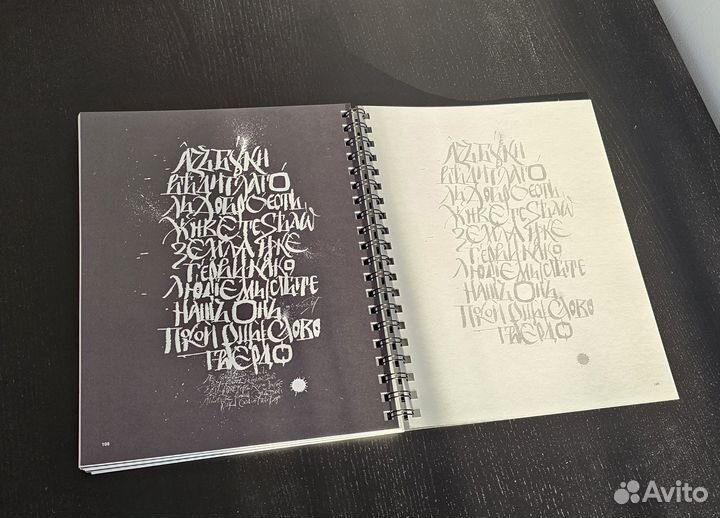 Фицнер Виктор Экспрессивная каллиграфия 20 стилей