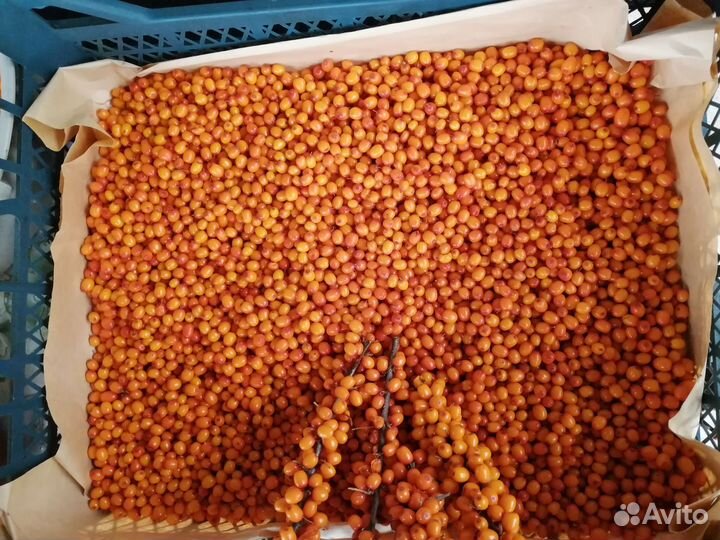 Облепиха (ягоды и сок), базилик, чеснок