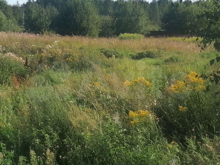 Участок 12 сот. (ИЖС)