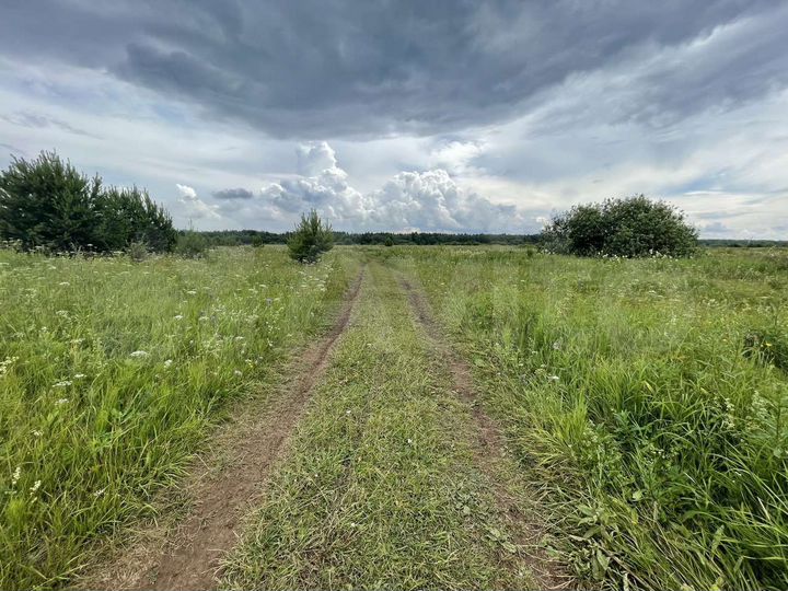 Участок 44,18 га (СНТ, ДНП)