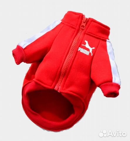 Толстовка худи для собак