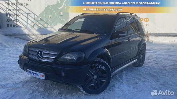 Накладка заднего крыла правого Mercedes-Benz ML55AMG (W163) 1636900687