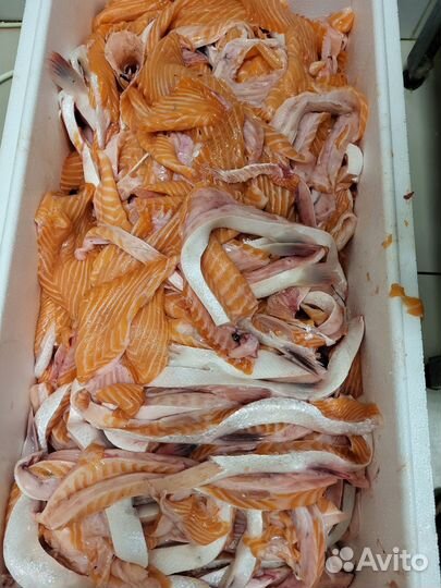 Брюшки семги с обрезью (тешой)