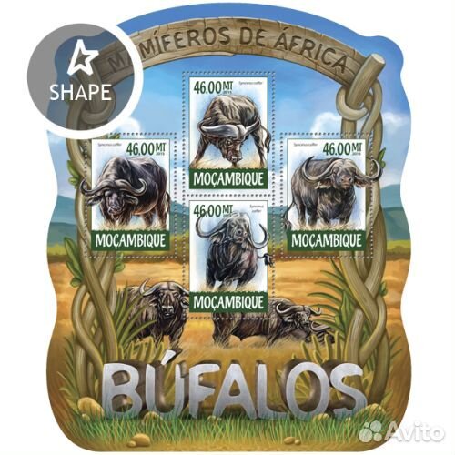 Мозамбик, 2015. (moz15208) Фауна Африки, буйволы