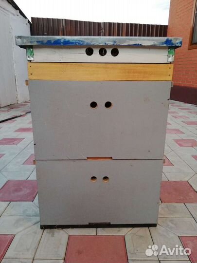 Улий дадан: два корпуса по 12 рамок