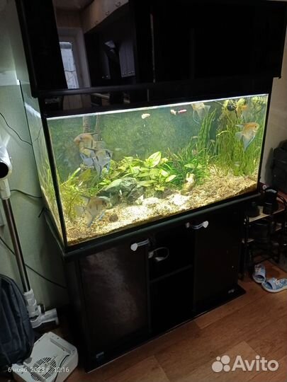 Аквариум 200 литров, с тумбой, с оборудованием