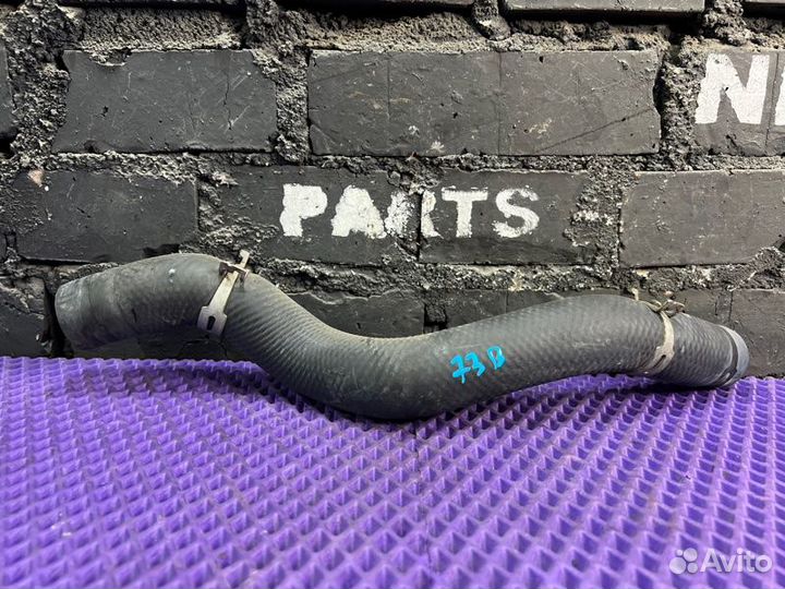 Патрубок радиатора Nissan X-Trail NT31-305162