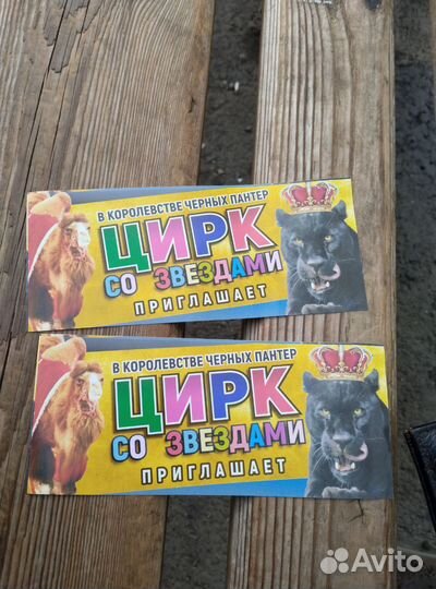 Два билета в цирк