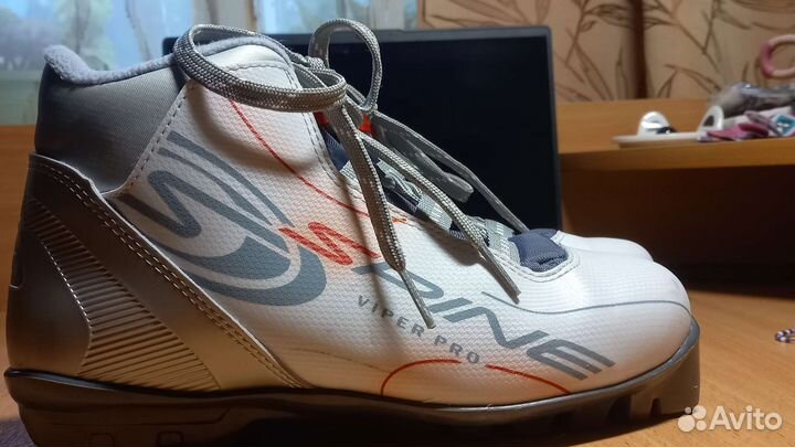 Лыжные ботинки spine