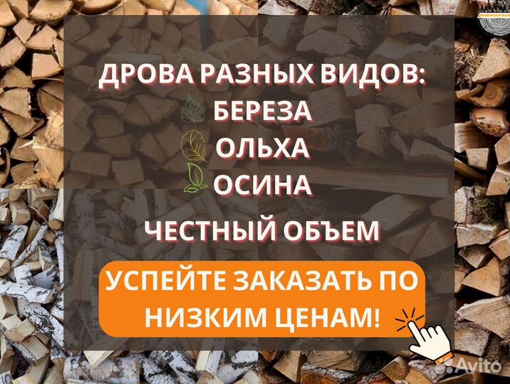 Дрова колотые береза