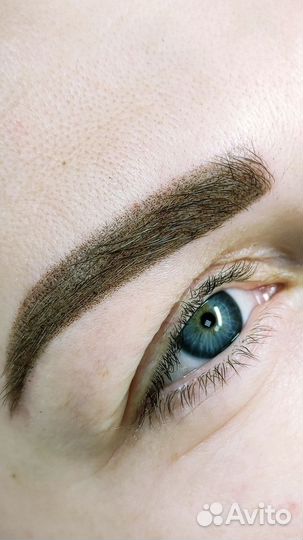 Мастер бровист