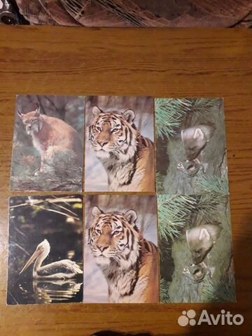 Открытки с животными