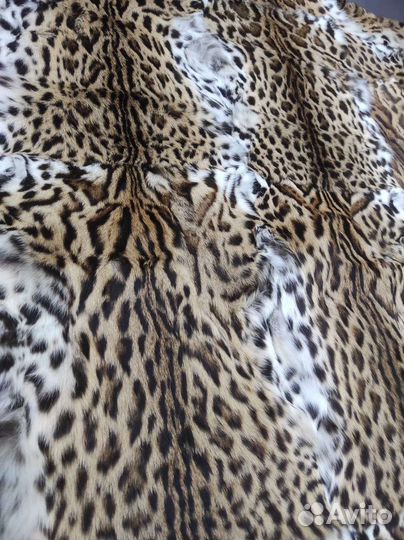 Пластина оцелота