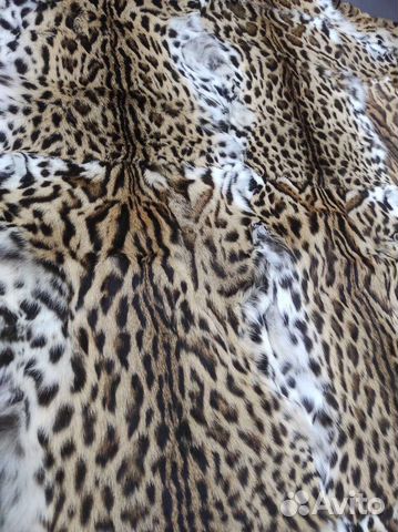 Пластина оцелота