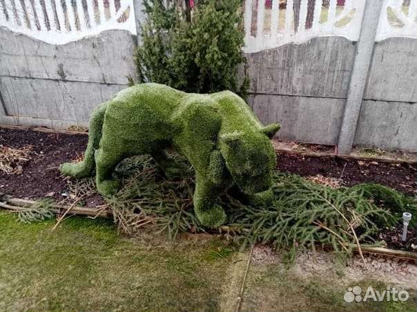 Топиари фигуры садовые