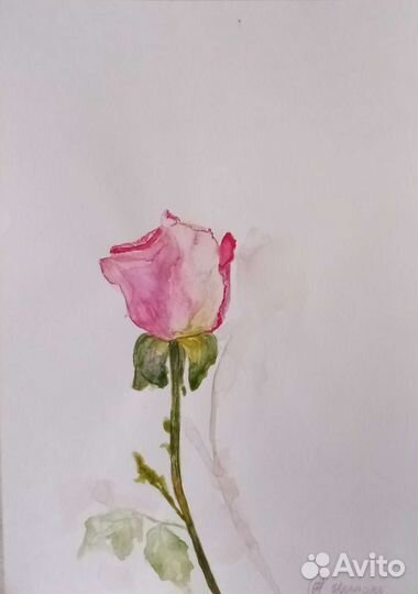 Картины акварелью 