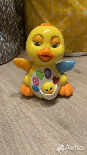 Музыкальная утка