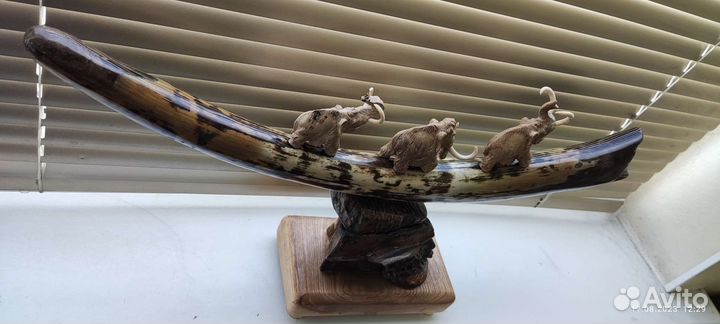 Бивень мамонта