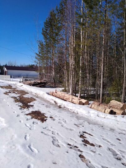 Участок 10 сот. (СНТ, ДНП)