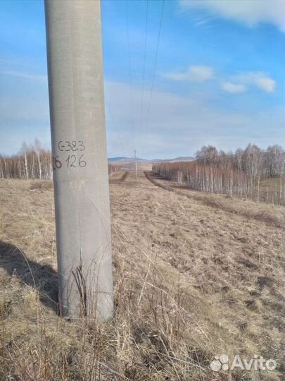 Разнорабочие в лес