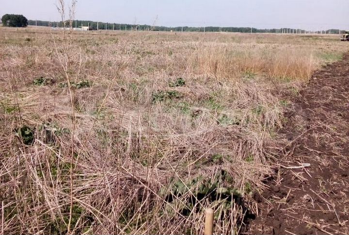 Участок 8 сот. (ИЖС)