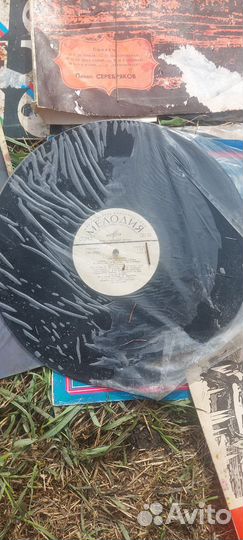 Виниловые пластинки