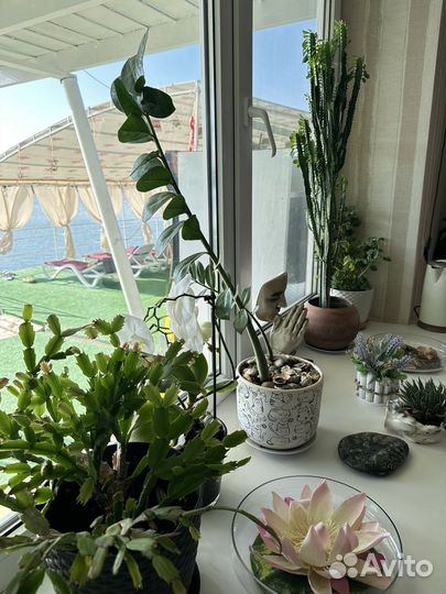 Семейная сауна с бассейном у озера