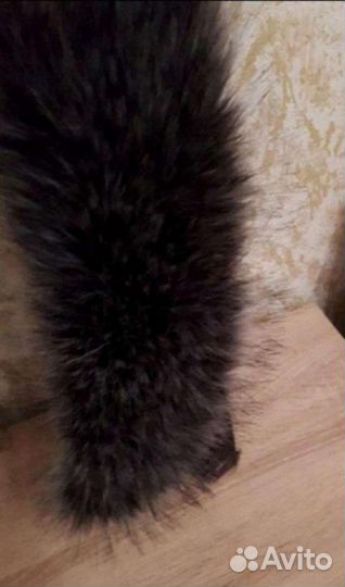 Мех на воротник Новый