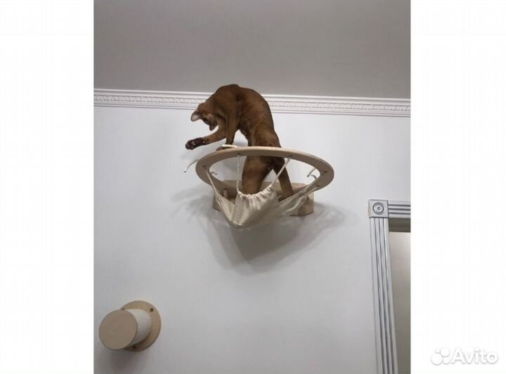 Комплекс для кошки