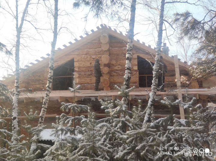 Сруб дома в чашу