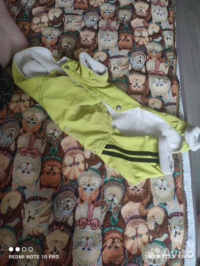 Одежда для маленьких пород собак