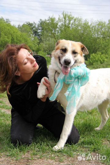 Горящее сердце светит