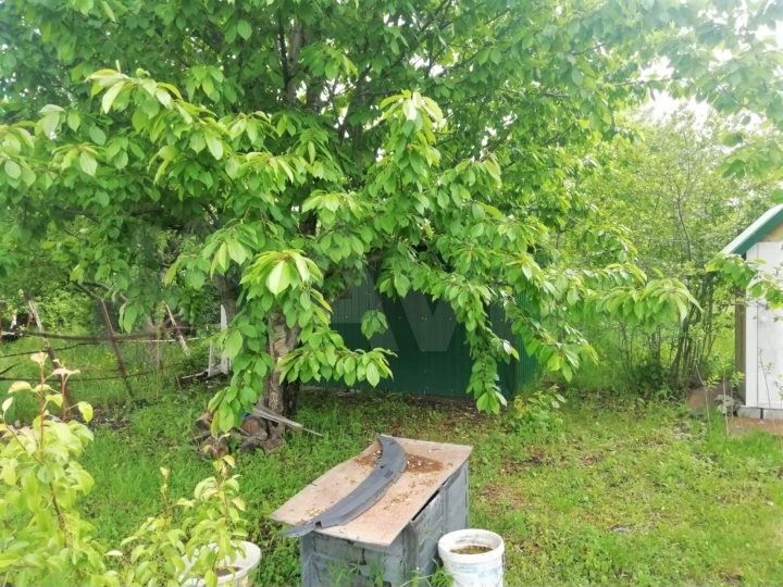 Участок 6 сот. (ИЖС)