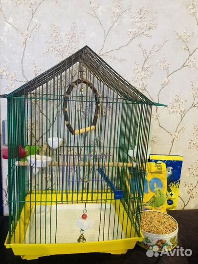 Клетка для попугая б/у