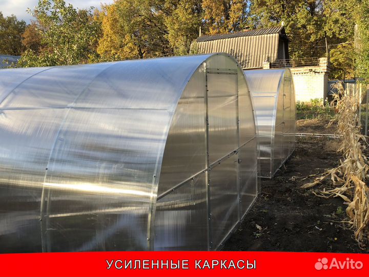 Теплица усиленная